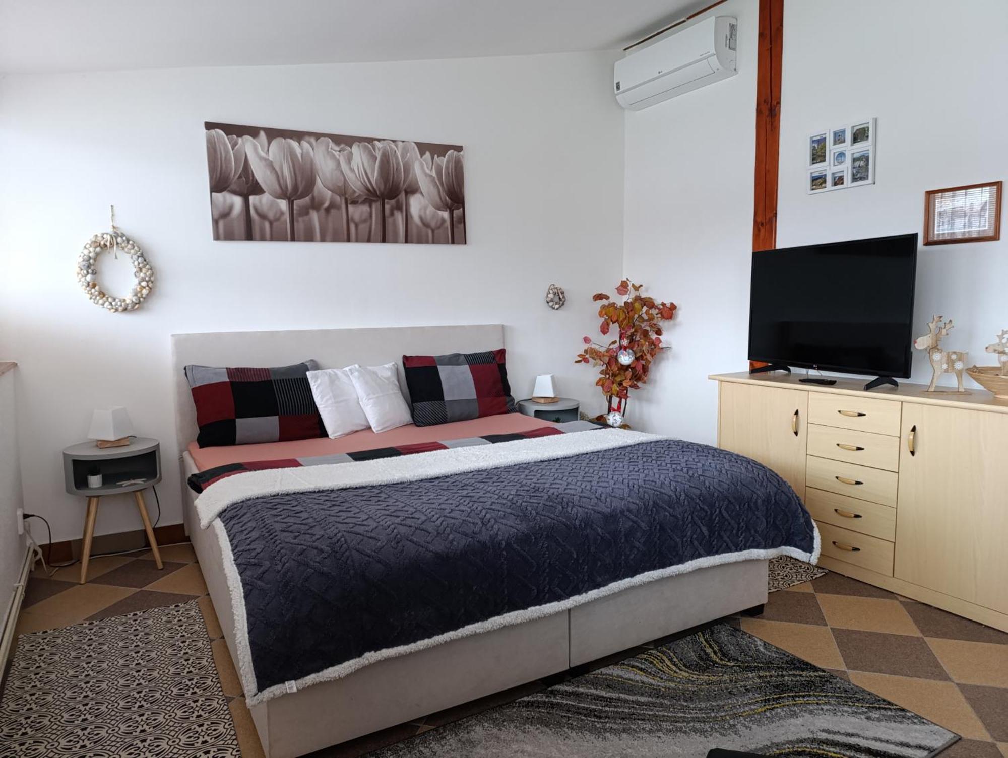 U Bocmana S Vyhledem Na Zamek A Labe Apartamento Decin Exterior foto