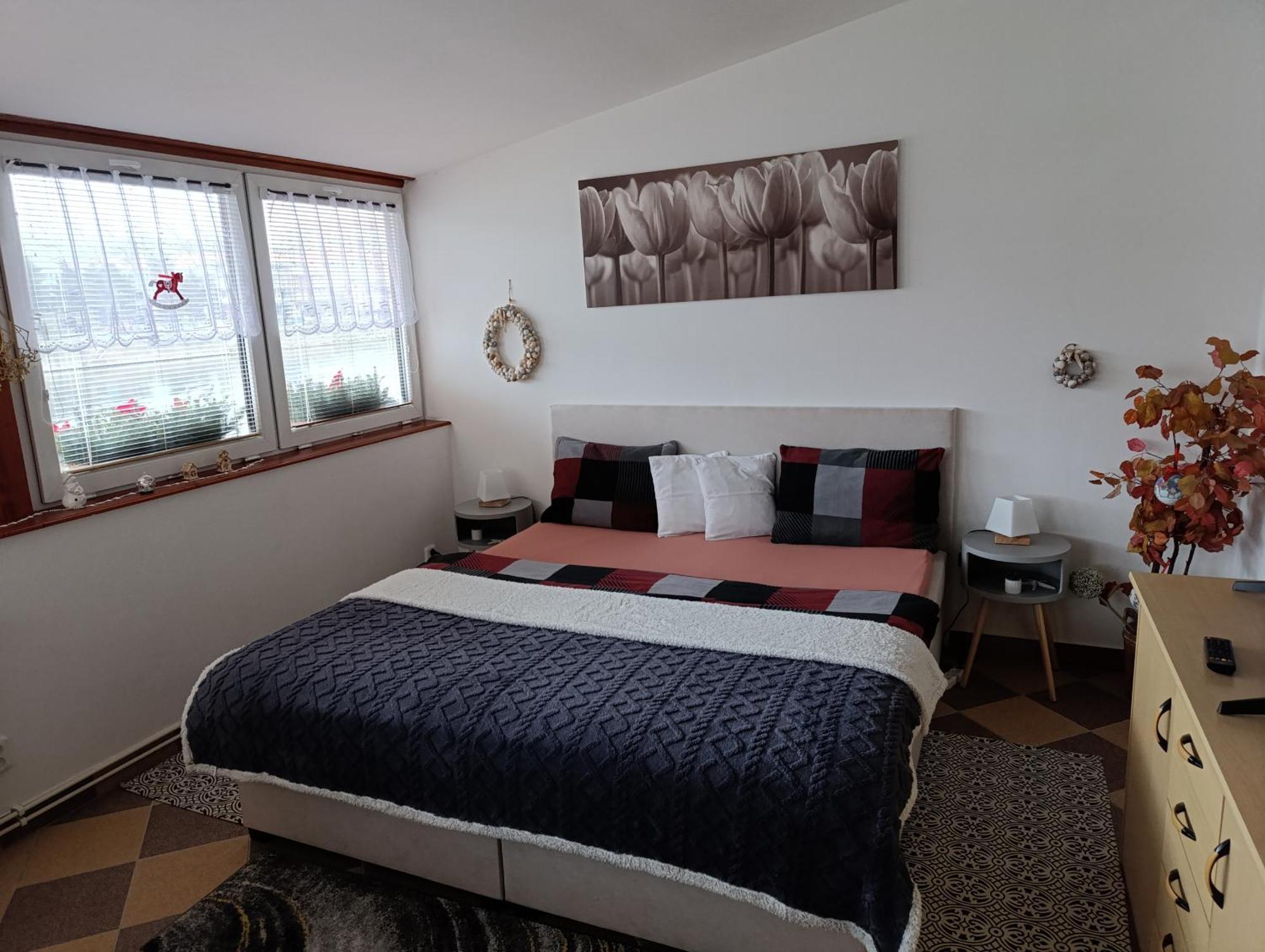 U Bocmana S Vyhledem Na Zamek A Labe Apartamento Decin Exterior foto